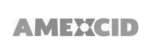 Logotipo AMEXCID
