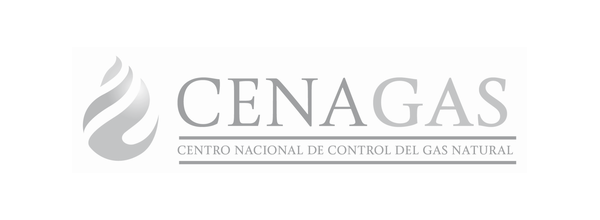 Logotipo CENAGAS